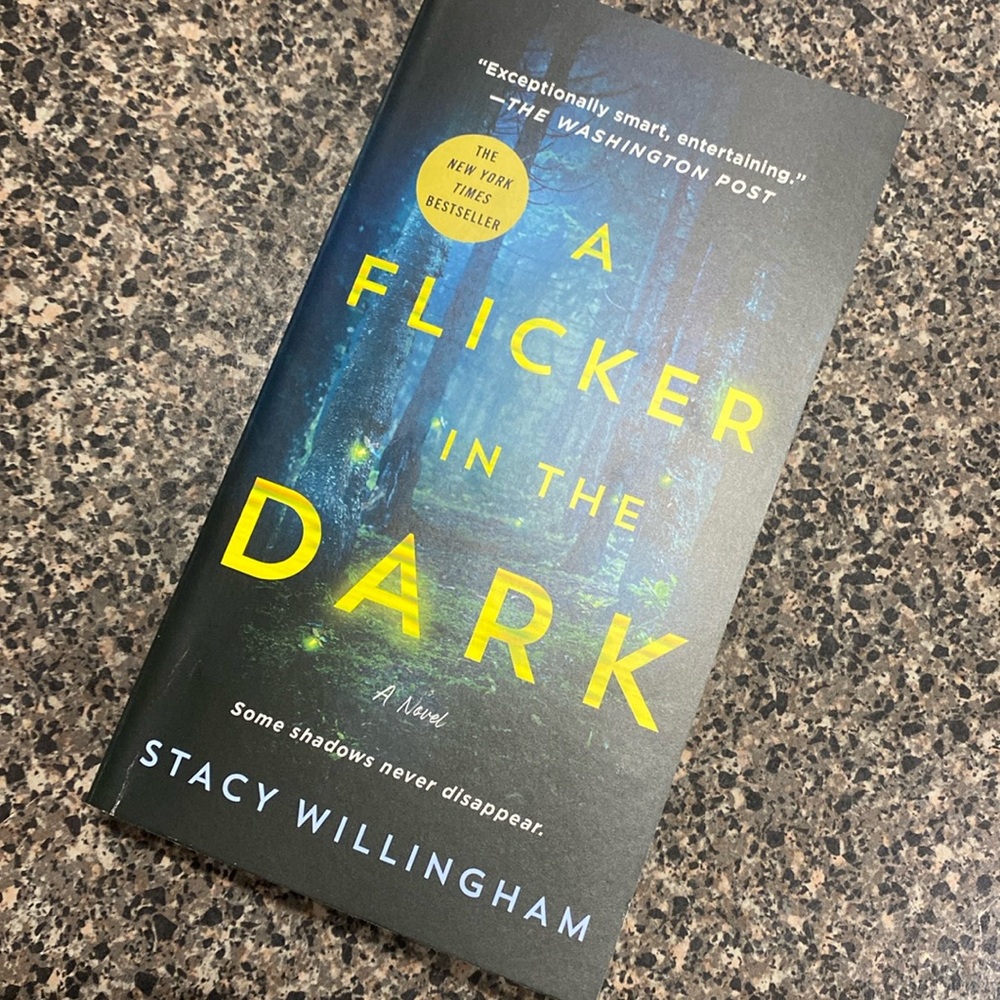 A Flicker in the Dark Novel
